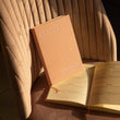 Load image into Gallery viewer, States of Change AM/PM Daily Journal