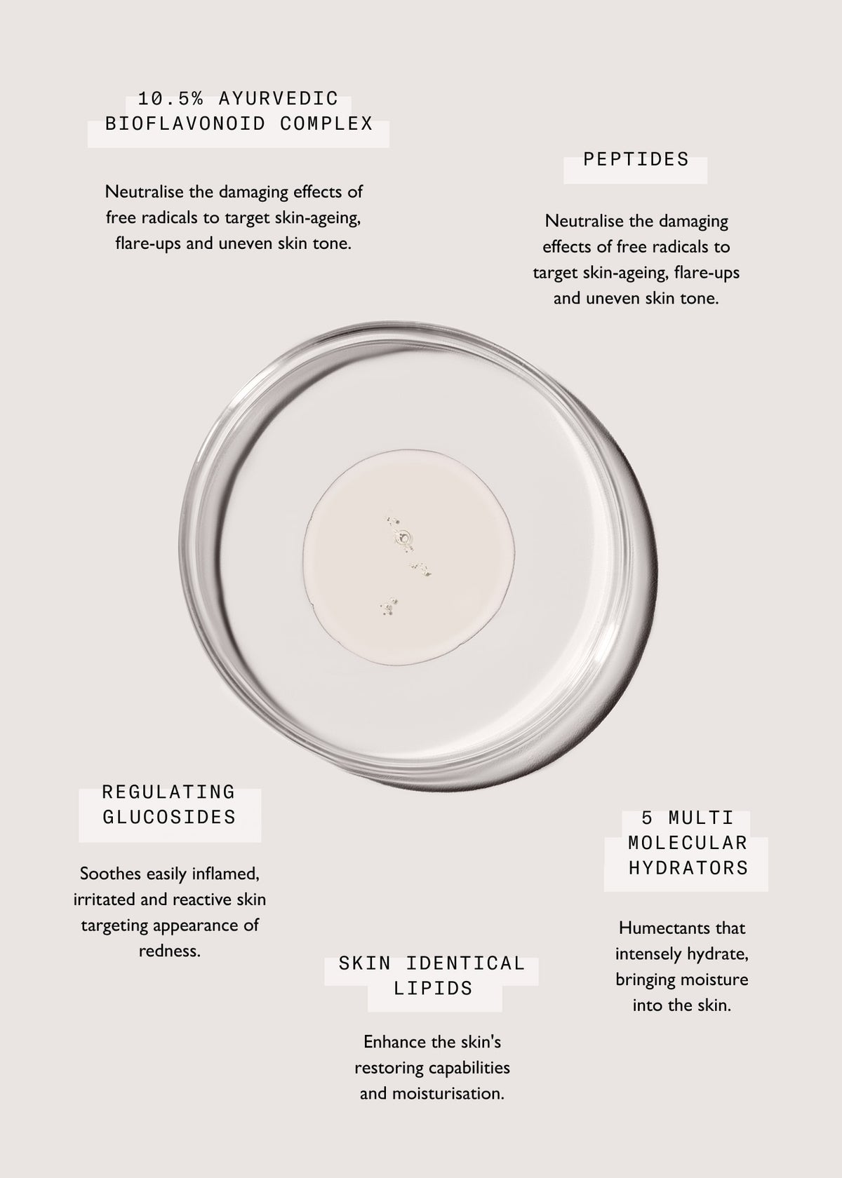 The Hydrate & Plump Gift Bundle