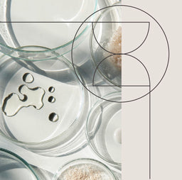 //sachi-skin.myshopify.com/cdn/shop/files/placeholder-type-1_small.png?v=3905341933728751030