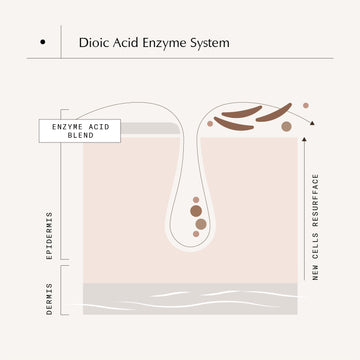 Dioic Enzyme Acid System