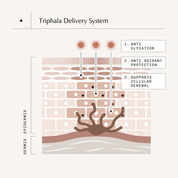 Triphala Multi-pathway Approach