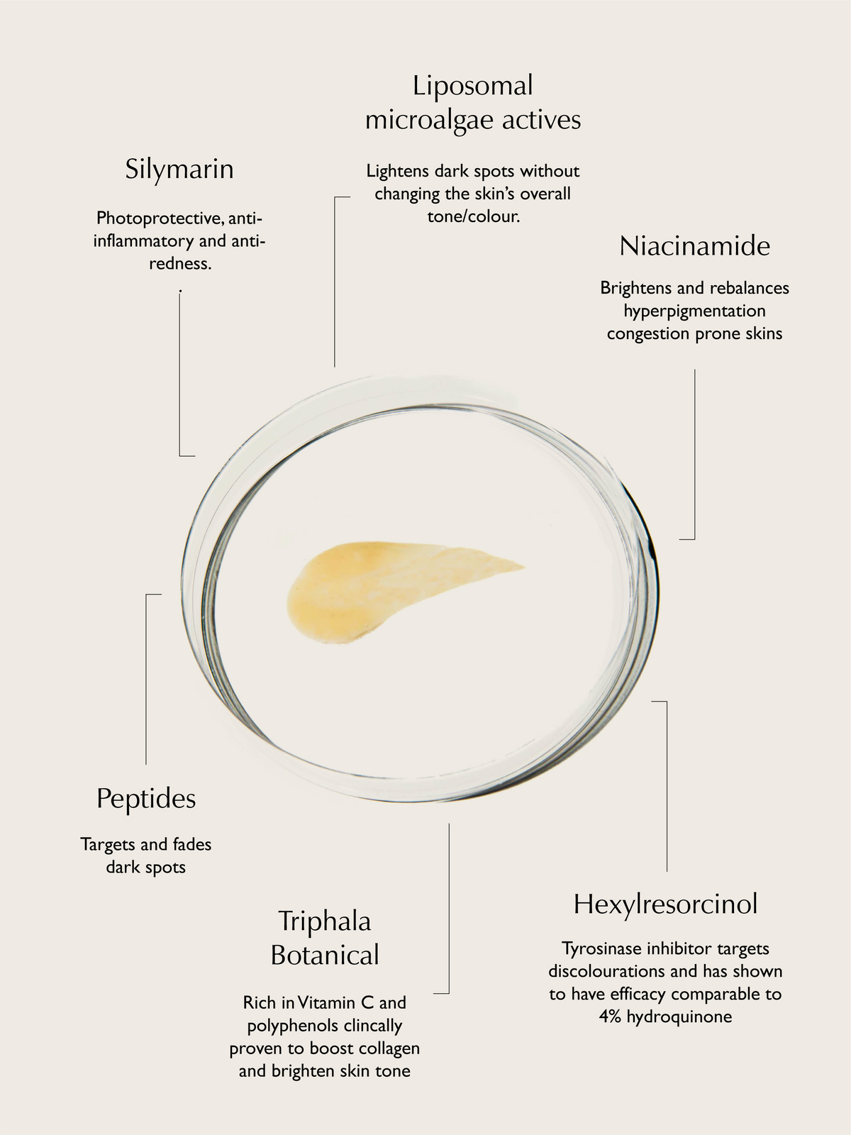 The Brightening Gift Bundle